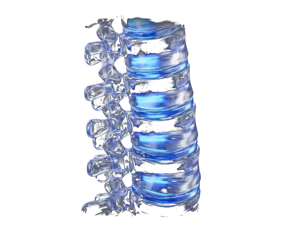 Fisioterapia